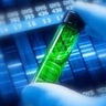 Molekulris allergiavizsglat segti a betegek pontosabb diagnosztizlst Molekulris allergiavizsglat segti a betegek pontosabb diagnosztizlst
