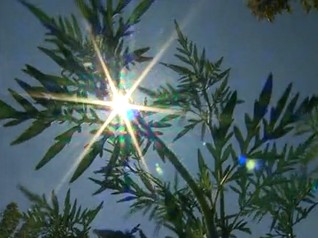 Indul az allergiaszezon
